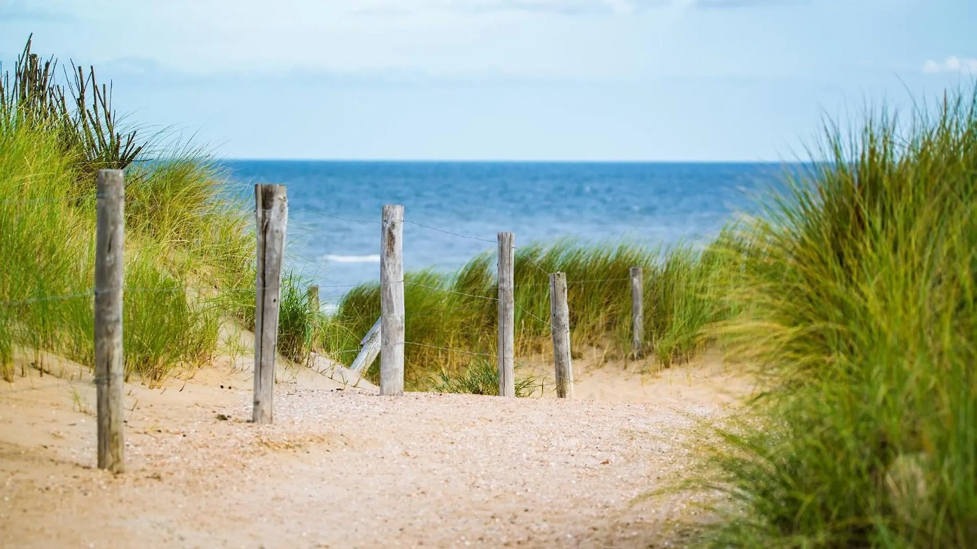 Luxe App Aan Zee Omringd Door Groene Oase - 6P Ostend 0*,